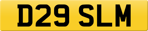 D29SLM