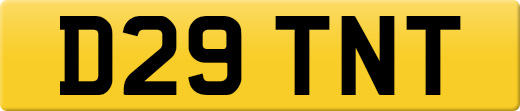 D29TNT
