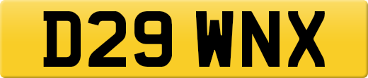 D29WNX