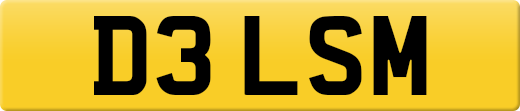 D3LSM