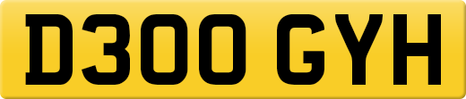 D300GYH