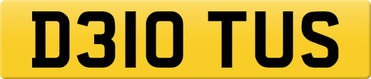 D310TUS