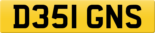 D351GNS