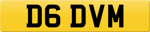 D6DVM
