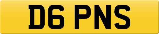 D6PNS
