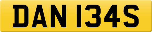 DAN134S