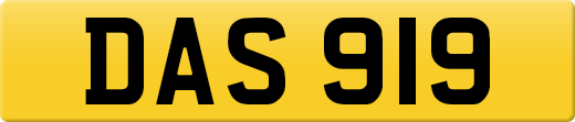 DAS919