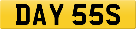 DAY55S