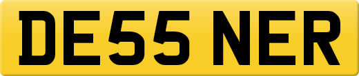 DE55NER