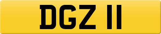 DGZ11