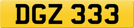 DGZ333