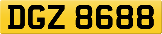 DGZ8688