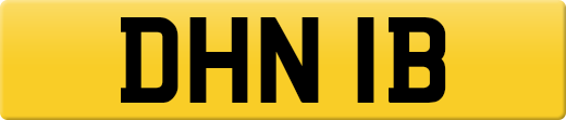 DHN1B