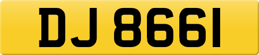 DJ8661