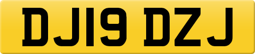 DJ19DZJ