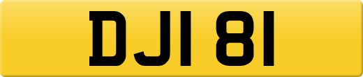 DJI81