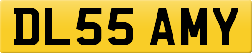 DL55AMY
