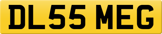 DL55MEG