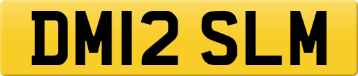 DM12SLM
