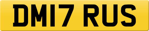 DM17RUS