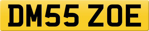DM55ZOE