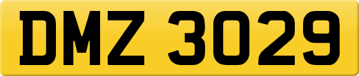 DMZ3029