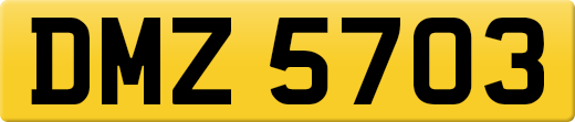 DMZ5703