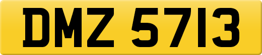 DMZ5713