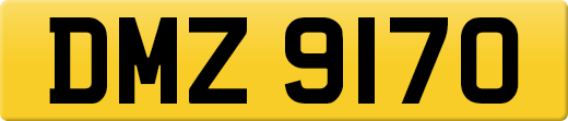 DMZ9170