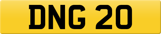 DNG20