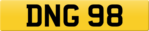 DNG98