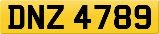 DNZ4789