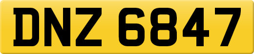 DNZ6847