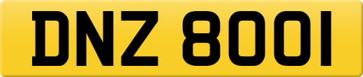 DNZ8001