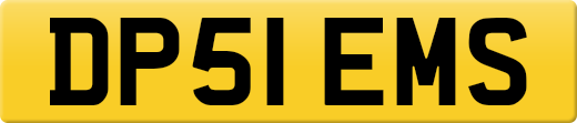 DP51EMS