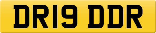 DR19DDR