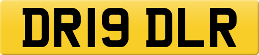 DR19DLR