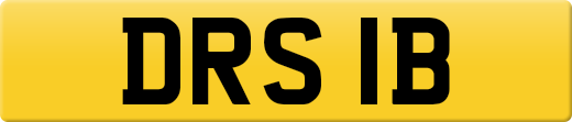 DRS1B