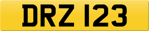 DRZ123