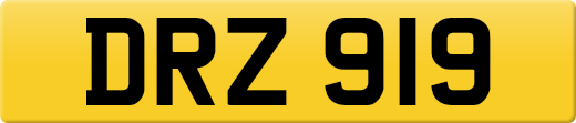 DRZ919