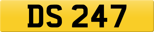 DS247
