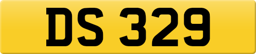 DS329