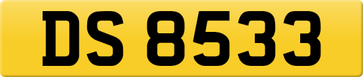 DS8533