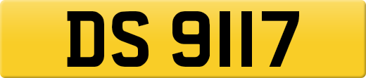 DS9117