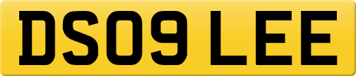 DS09LEE