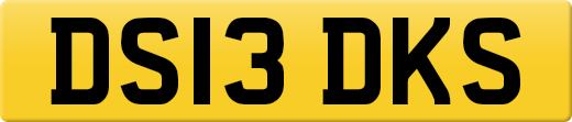 DS13DKS