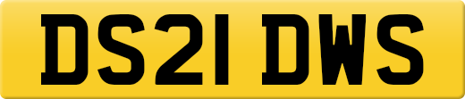 DS21DWS