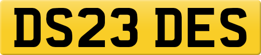 DS23DES