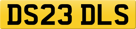DS23DLS