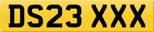DS23XXX